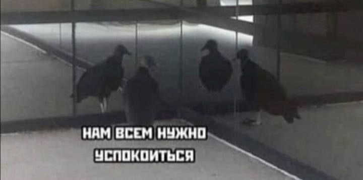 Фотография поста