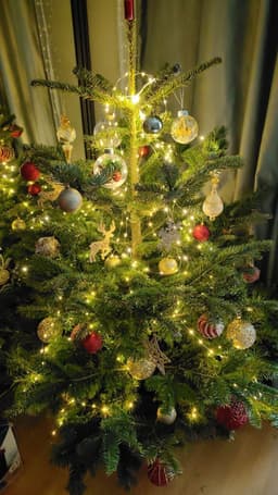 🎄С новым 2024 годом! image preview