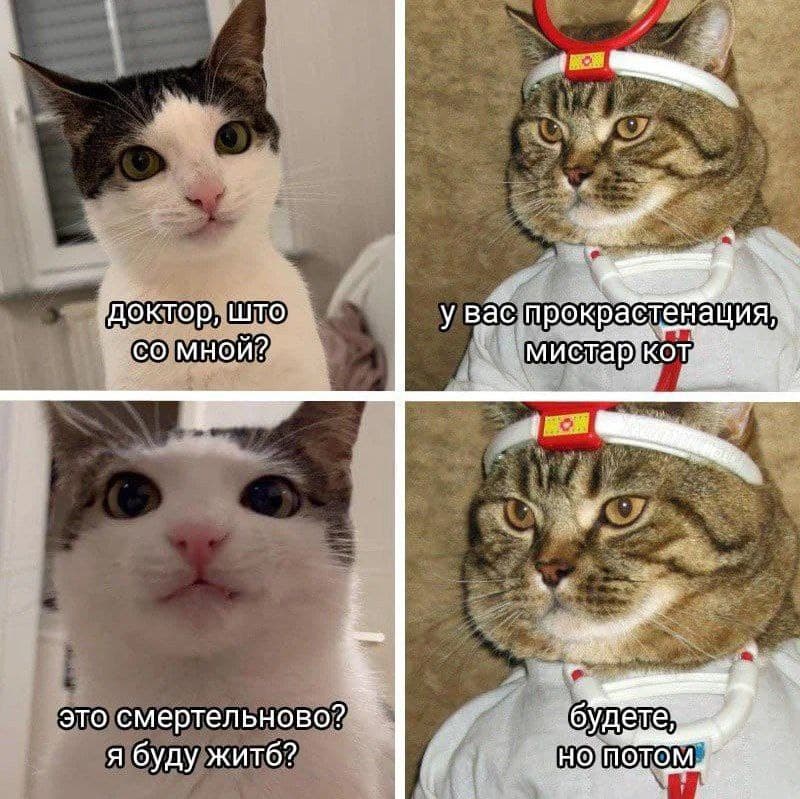 Фотография поста