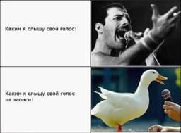 🎙Как я за месяц упражнений перестал кринжевать от звучания своего голоса image preview