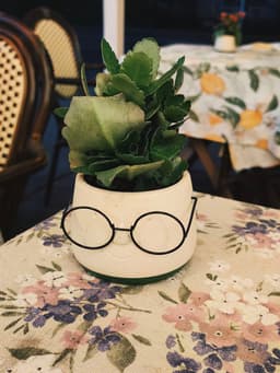 Функциональное общение и почему я разговариваю с людьми в кофейнях image preview