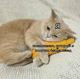 Практика благодарности, но не та, о которой вы подумали image preview