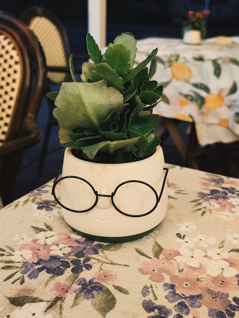 Фотография поста