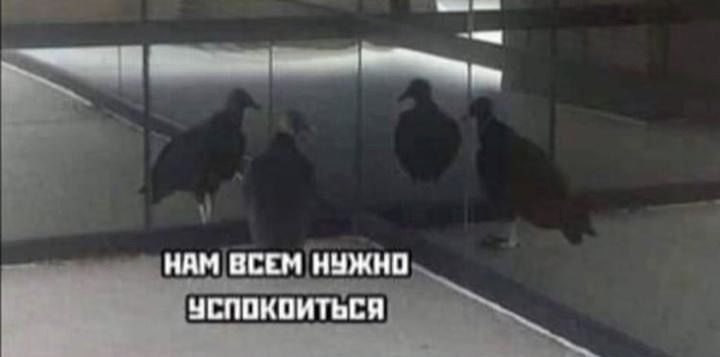 Фотография поста