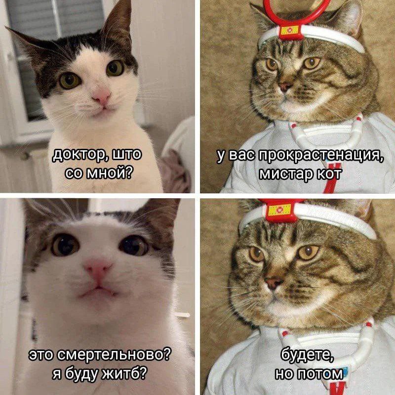 Вебинар 20 апреля: как полюбить прокрастинацию image preview