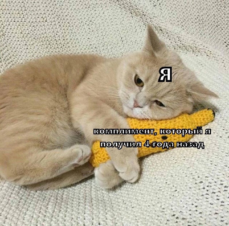 Практика благодарности, о которой вы не знали image preview