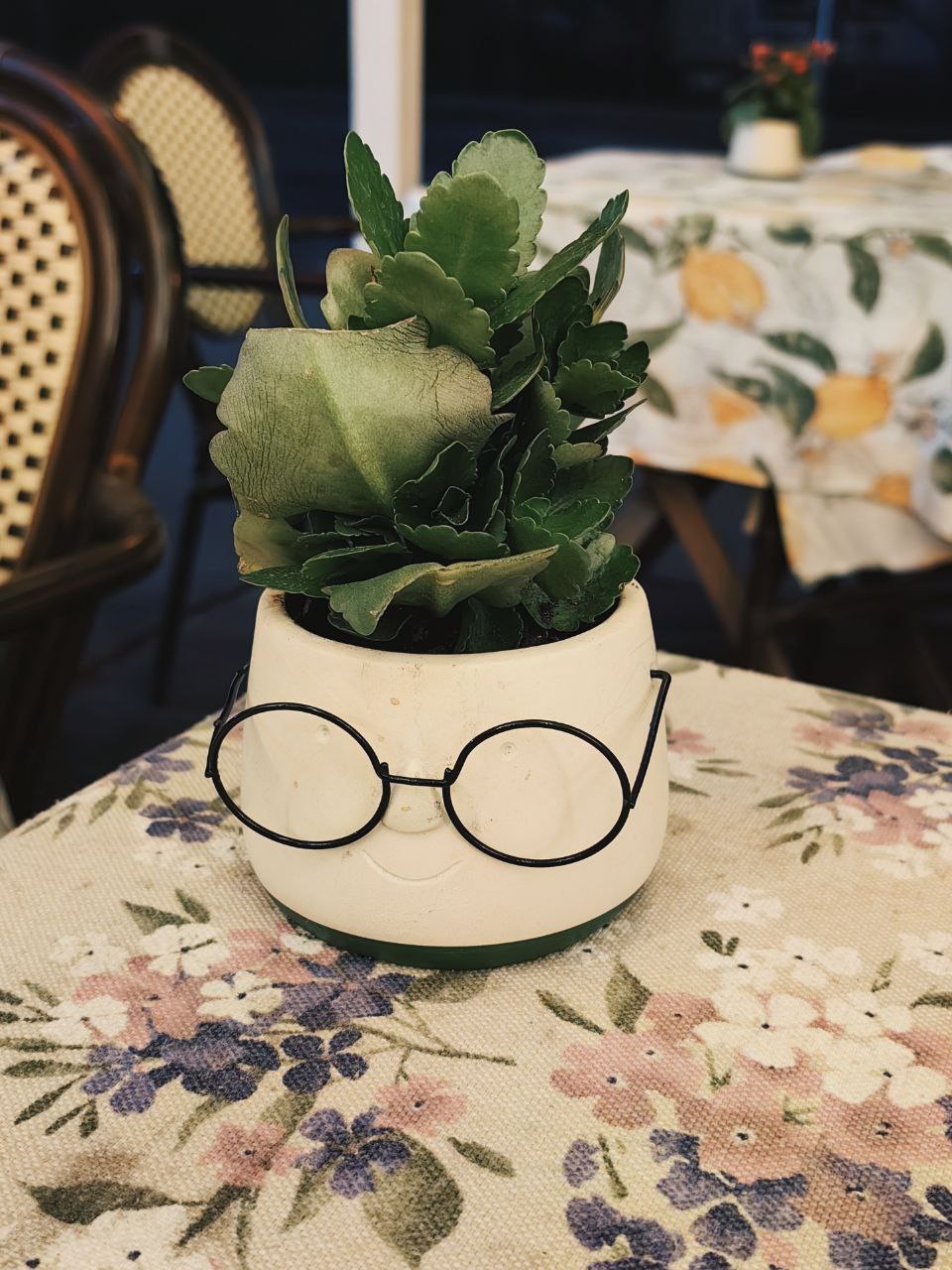 Функциональное общение в кофейнях image preview